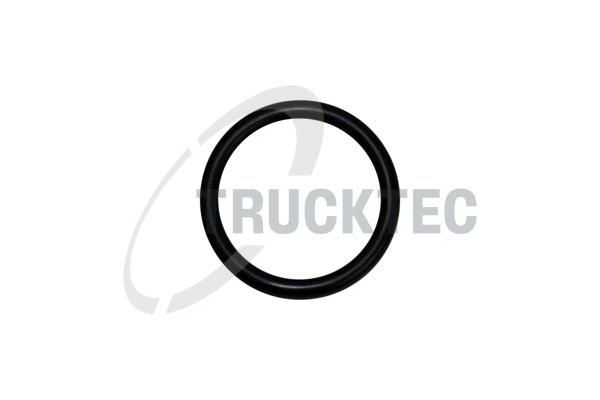 0810039 Trucktec Прокладка кронштейна маслянного фільтра